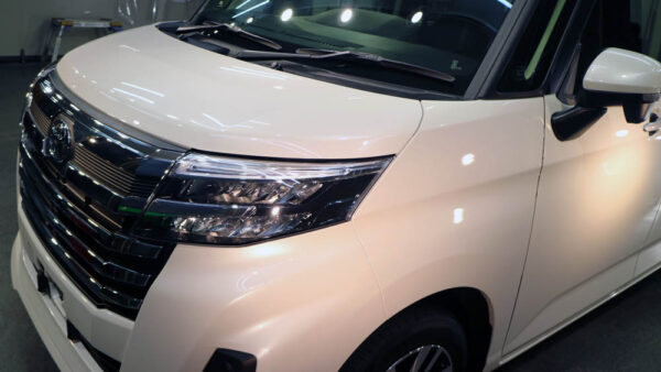 ルーミーのコーティング